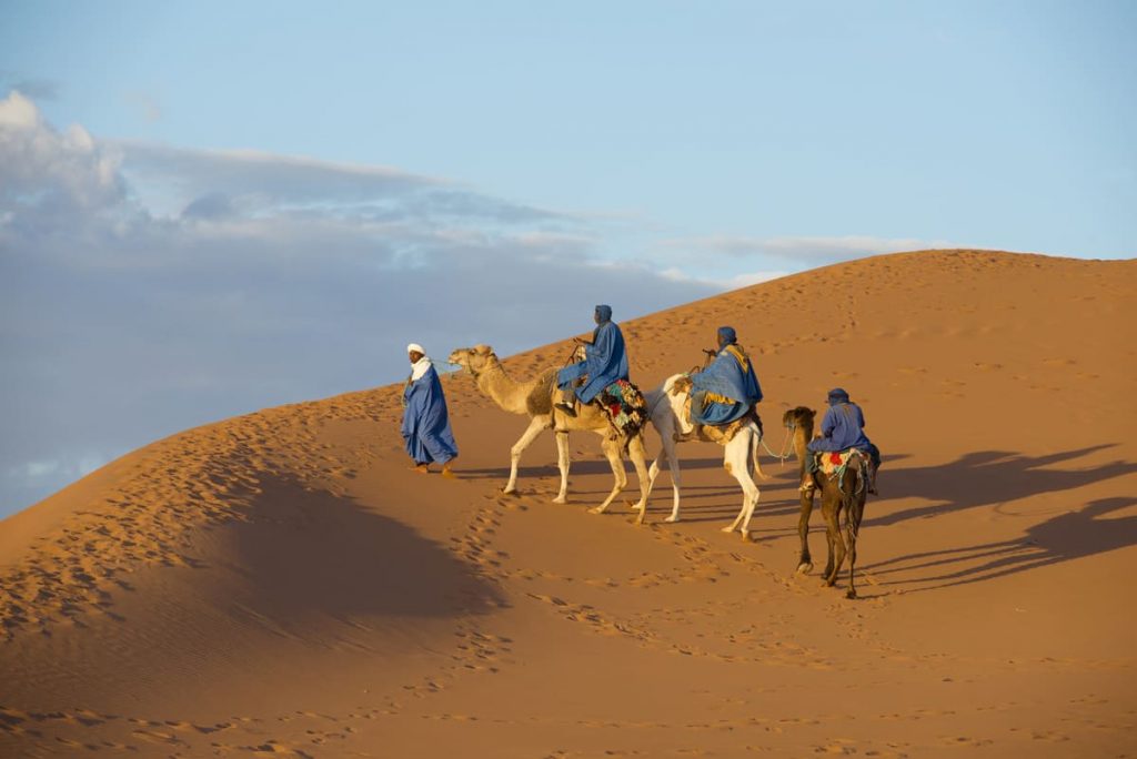Carovana di cammelli nel deserto del Sahara