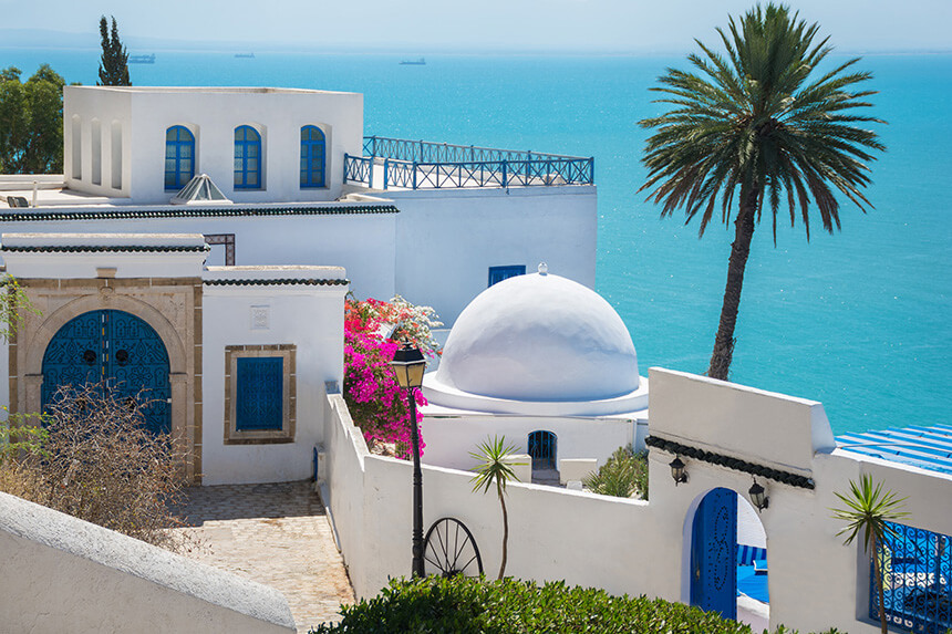 Tunisia - Case bianche e palme sulle rive del Mar Mediterraneo